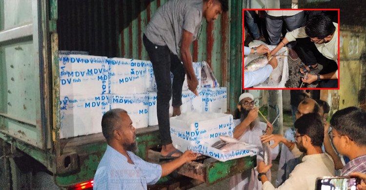 দুর্গাপূজা উপলক্ষে ভারতে ৩৭.৪৬ মেট্রিকটন ইলিশের প্রথম চালান পৌঁছালো